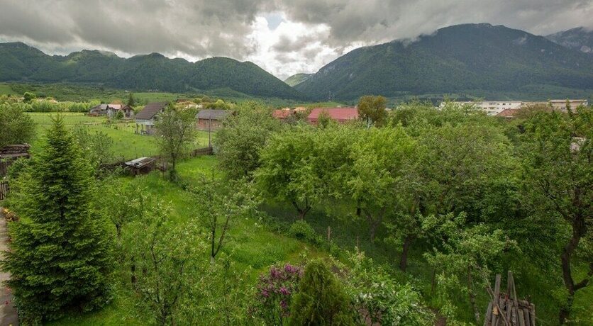 Imagen general del Hotel Carmi House. Foto 3