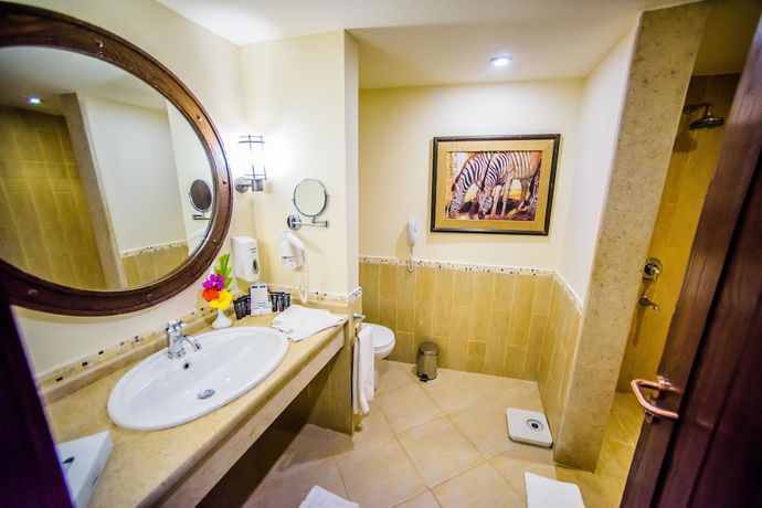 Imagen de la habitación del Hotel Carols Beau Rivage. Foto 8