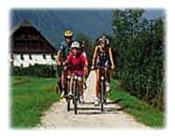 Imagen general del Hotel Carossa. Foto 9