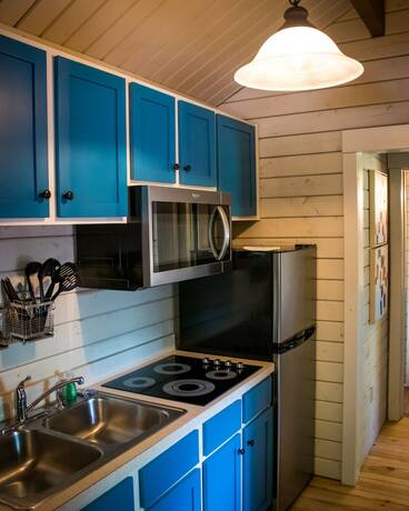 Imagen general del Hotel Carowinds Camp Wilderness. Foto 4