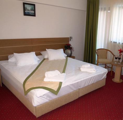 Imagen de la habitación del Hotel Carpați, Predeal. Foto 6