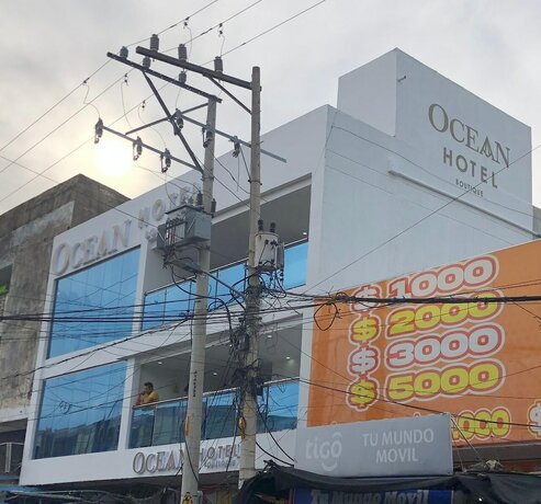 Imagen general del Hotel Carrera 11. Foto 19