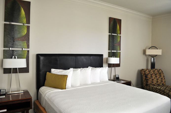 Imagen general del Hotel Carriage House. Foto 3