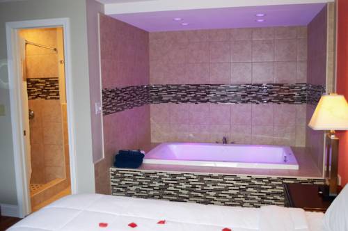 Imagen de la habitación del Hotel Carrier Motor Lodge. Foto 4