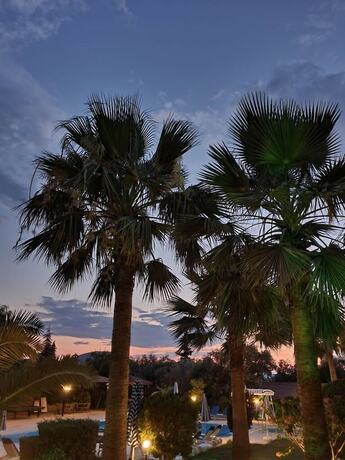 Imagen general del Hotel Carrington Suites. Foto 4