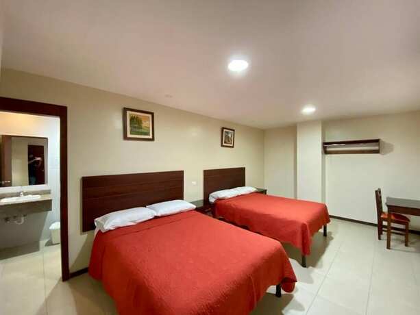 Imagen de la habitación del Hotel Carri&oacute;n. Foto 12