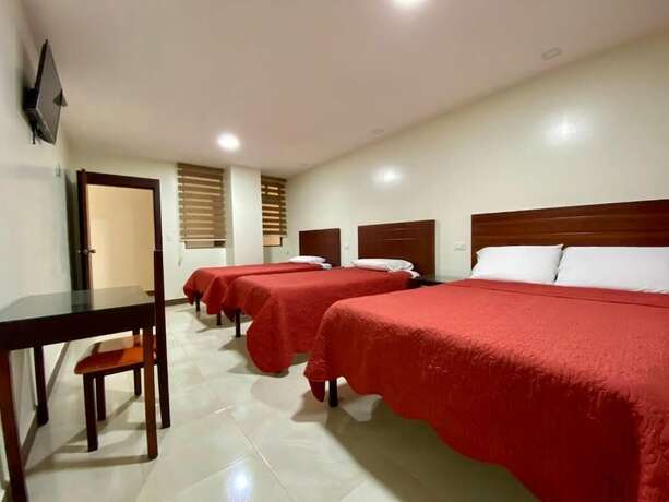 Imagen de la habitación del Hotel Carri&oacute;n. Foto 19