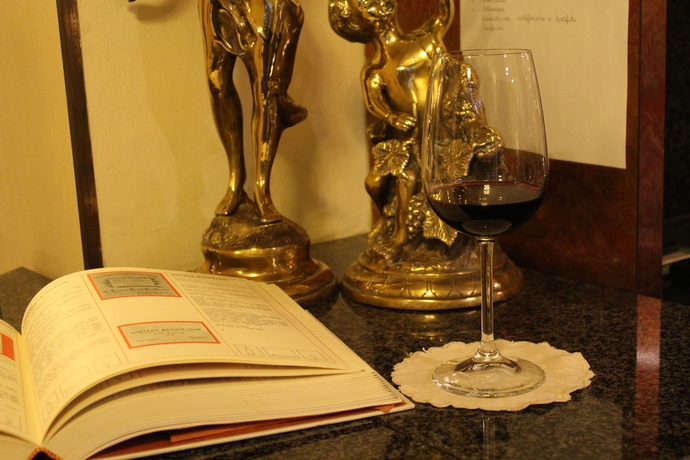 Imagen de los interiores del Hotel Carrobbio. Foto 15