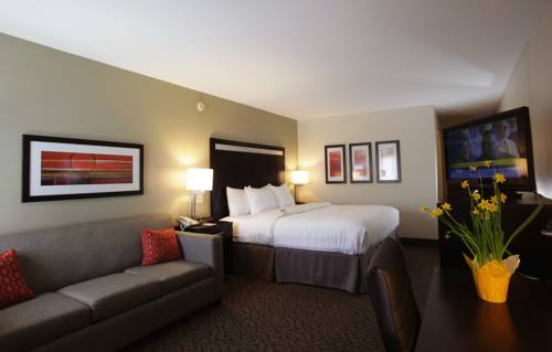 Imagen de la habitación del Hotel Carrollton Inn. Foto 2