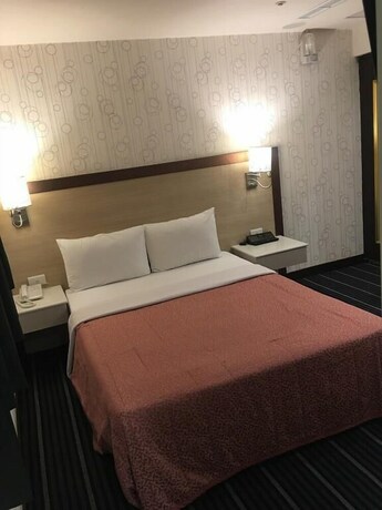 Imagen de la habitación del Hotel Carry. Foto 18