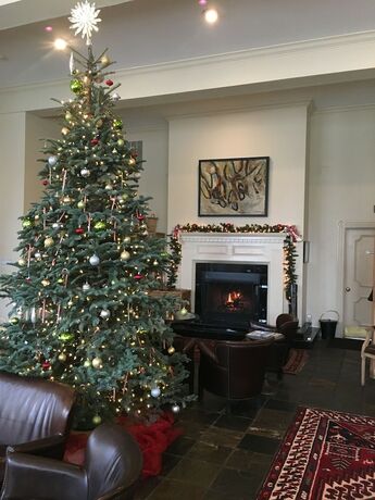 Imagen general del Hotel Carter House Inns. Foto 8
