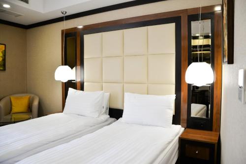Imagen general del Hotel Cartoon Razgrad. Foto 6