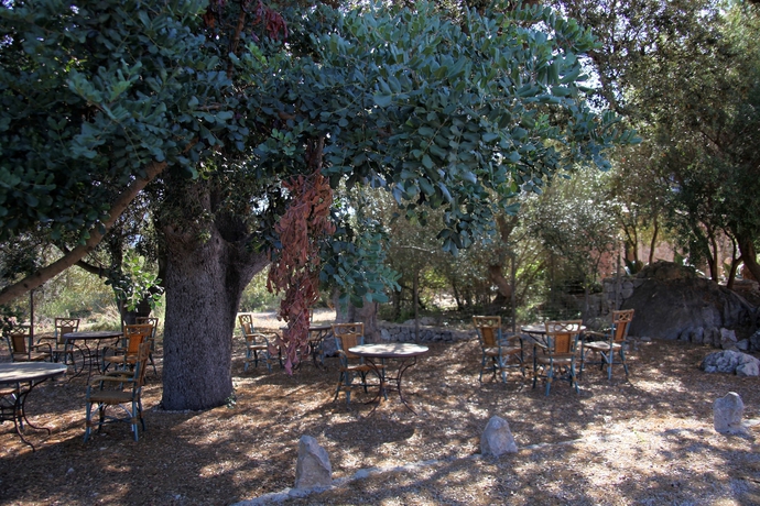 Imagen de los exteriores del Hotel Ca's Garriguer. Foto 9