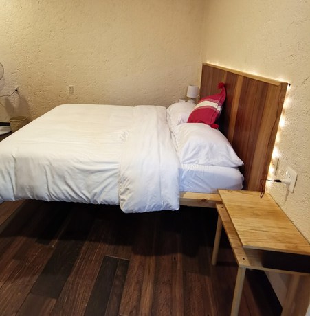 Imagen de la habitación del Hotel Casa Acueducto. Foto 8