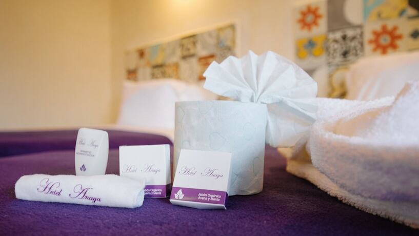 Imagen general del Hotel Casa Anaya - Hostel. Foto 7