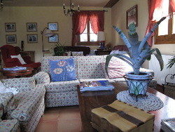 Imagen de la habitación del Hotel Casa Anita. Foto 10