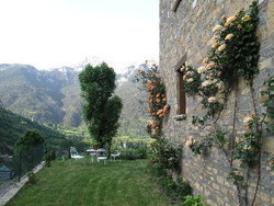 Imagen de la habitación del Hotel Casa Anita. Foto 11