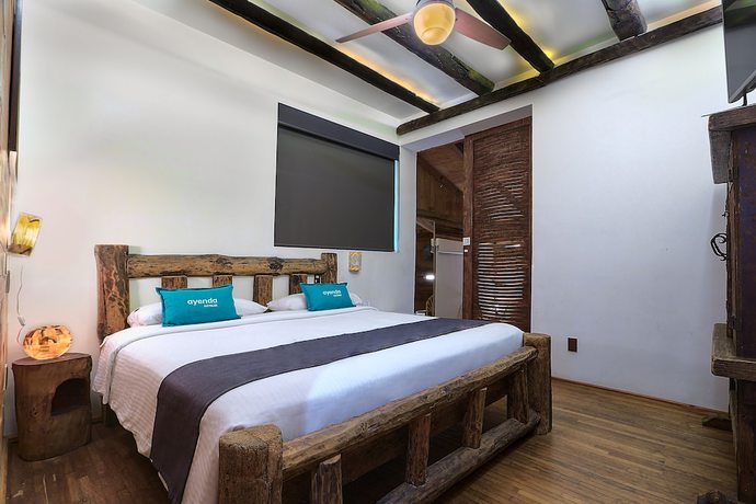 Imagen general del Hotel Casa Anzures. Foto 1