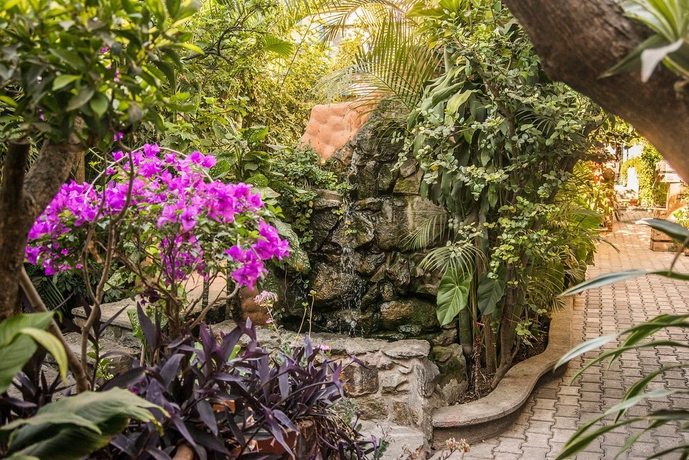 Imagen de los exteriores del Hotel Casa Arnel. Foto 12