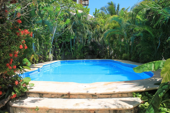Imagen de la piscina del Hotel Casa B&aacute;rbara Holbox. Foto 15