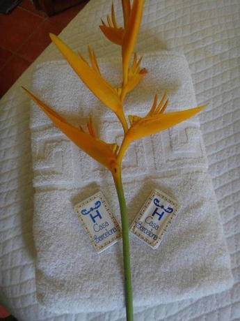 Imagen de la habitación del Hotel Casa Barcelona. Foto 5