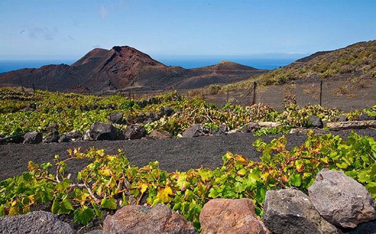 Imagen de los exteriores del Hotel Casa Bepe. Foto 6