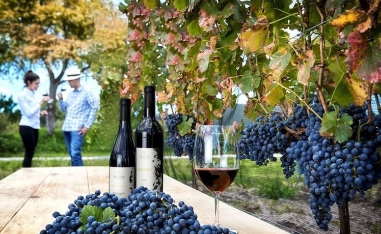 Imagen general del Hotel Casa Blanca Tequisquiapan. Foto 3