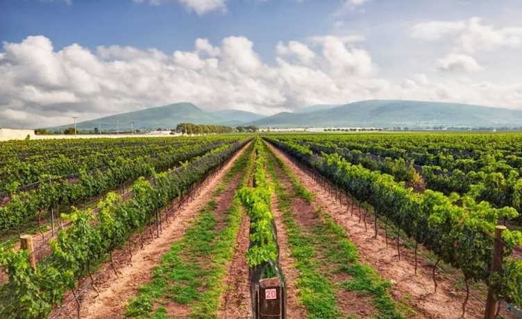 Imagen general del Hotel Casa Blanca Tequisquiapan. Foto 4
