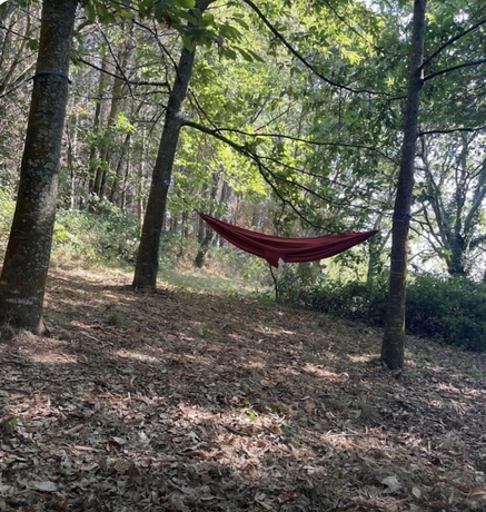 Imagen general del Hotel Casa Bolboreta. Foto 6