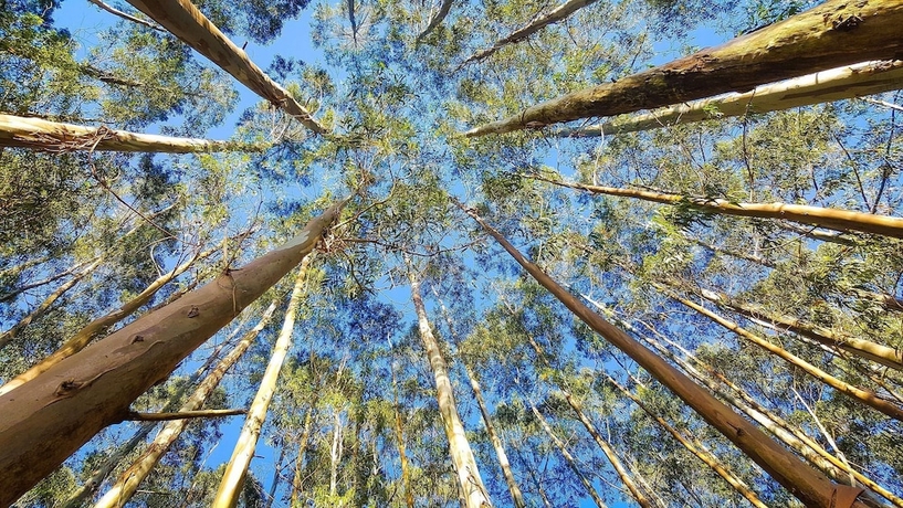 Imagen general del Hotel Casa Bolboreta. Foto 9