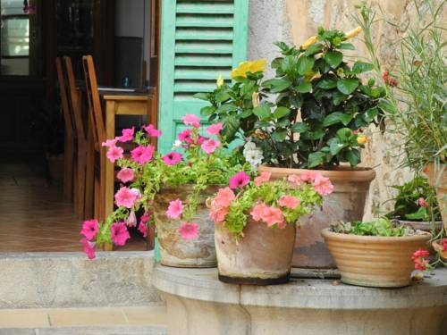 Imagen general del Hotel Casa Bougainvillea. Foto 2