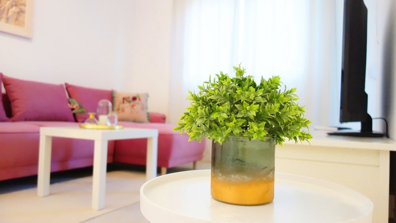 Imagen de la habitación del Hotel Casa Budva Apartments. Foto 17