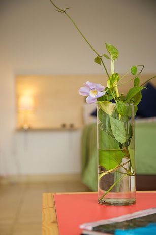 Imagen de la habitación del Hotel Casa Bugambilia, Santa Marta. Foto 16