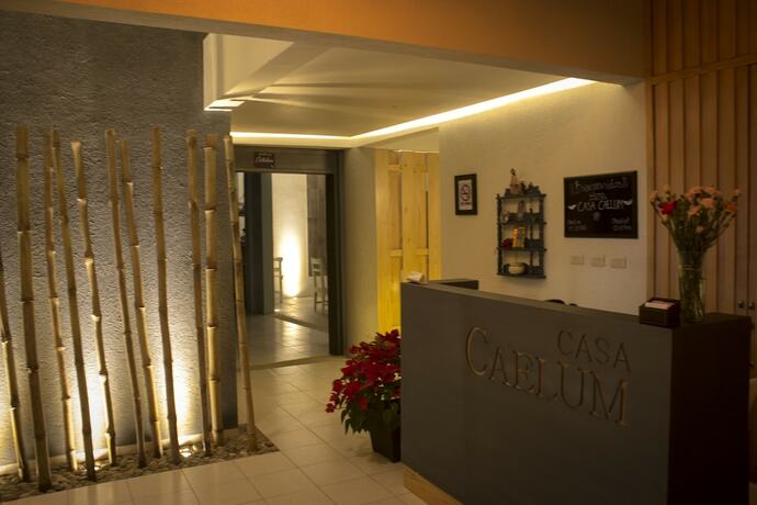 Imagen general del Hotel Casa Caelum. Foto 10