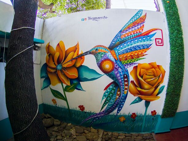 Imagen general del Hotel Casa California. Foto 8