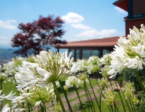 Imagen general del Hotel Casa Camila. Foto 10