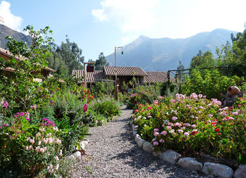 Imagen de los exteriores del Hotel Casa Colibri Ecolodge. Foto 14