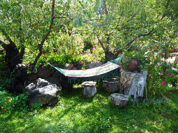 Imagen de la habitación del Hotel Casa Colibri Ecolodge. Foto 6