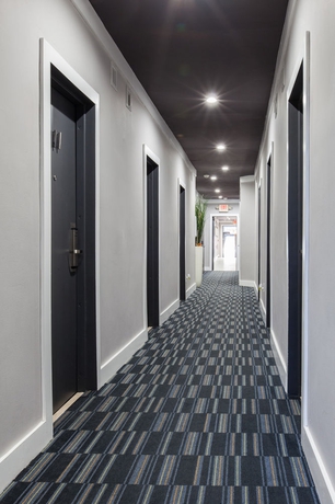Imagen de los interiores del Hotel Casa Collins. Foto 15