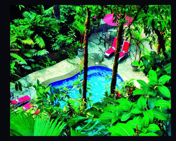 Imagen de la piscina del Hotel Casa Corcovado Jungle Lodge. Foto 13
