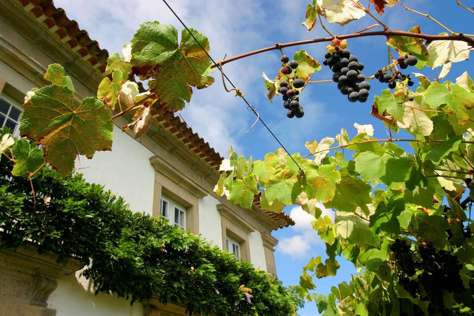 Imagen de los exteriores del Hotel Casa Da Várzea. Foto 6