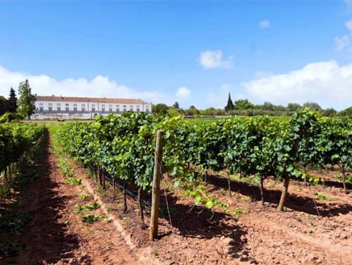 Imagen general del Hotel Casa De Calhariz. Foto 5