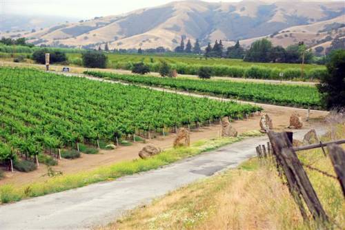 Imagen de la habitación del Hotel Casa De Fruta Inn. Foto 11