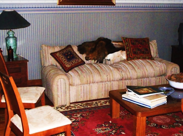 Imagen de los interiores del Hotel Casa De La Oma. Foto 12