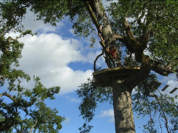 Imagen de los interiores del Hotel Casa De La Oma. Foto 13
