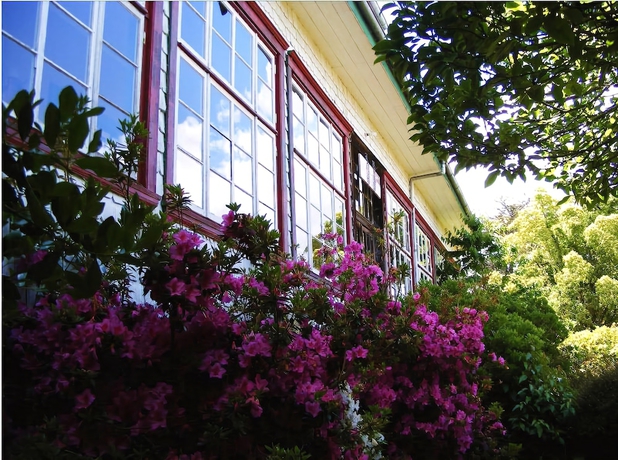 Imagen general del Hotel Casa De La Oma. Foto 3