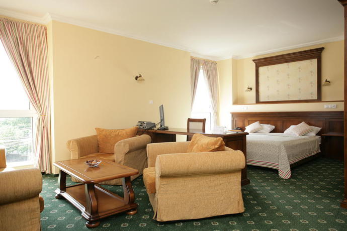 Imagen de la habitación del Hotel Casa De La Rosa Timisoara. Foto 3