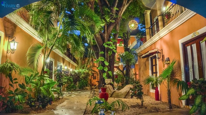 Imagen de los interiores del Hotel Casa De Las Flores. Foto 13