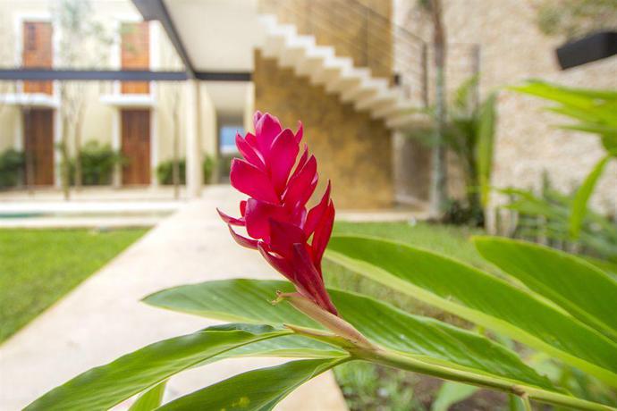 Imagen general del Hotel Casa De Las Palomas By Palomas Hotels. Foto 12