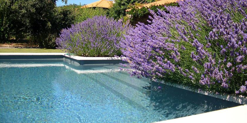 Imagen de la piscina del Hotel Casa De Santo António De Britiande. Foto 10